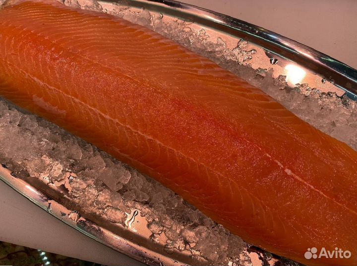 Лосось филе слабосолённый. Опт