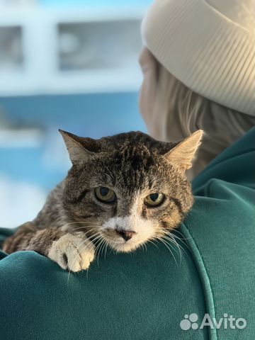 1.vmfvXba4Eo7Z9NCLnzutXK78EIhR_JCGmfkQjF_0GoRZ.ANk-FJXrF3o63WQ6ehugwEA2iu45VJeCvrj5-nk23gk