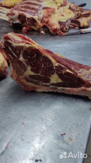 Продажа мяса говядина