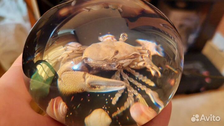 Краб и ракушки в шаре. Сувенир Море