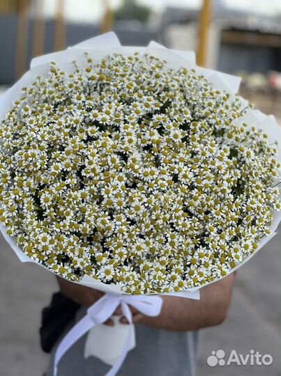 Букеты из ромашек