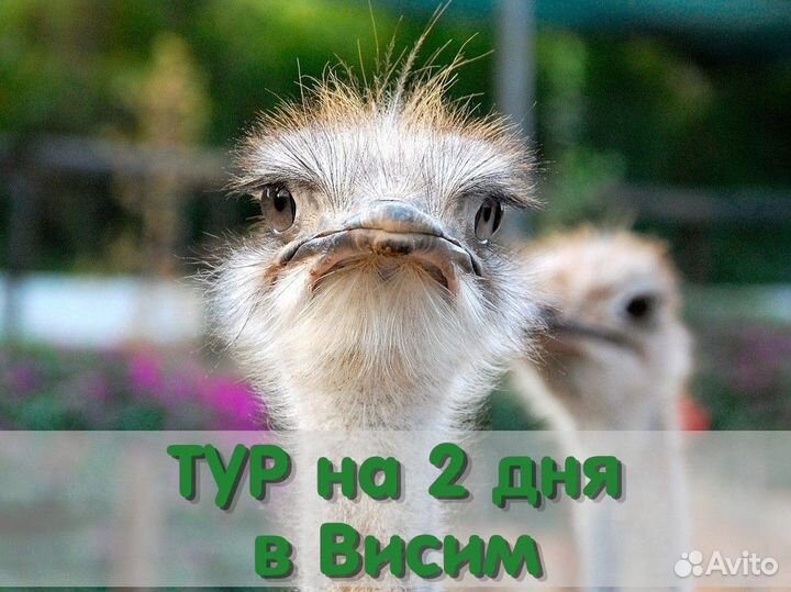 Готовый тур на 2 дня по Уралу для всей семьи