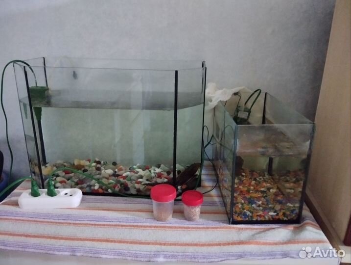 Аквариум с рыбками
