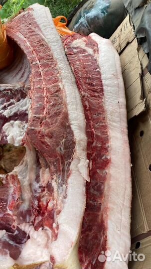 Мясо свинина домашняя