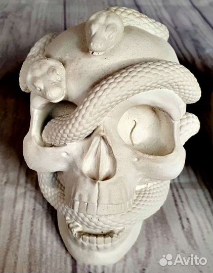 Черепа из гипса