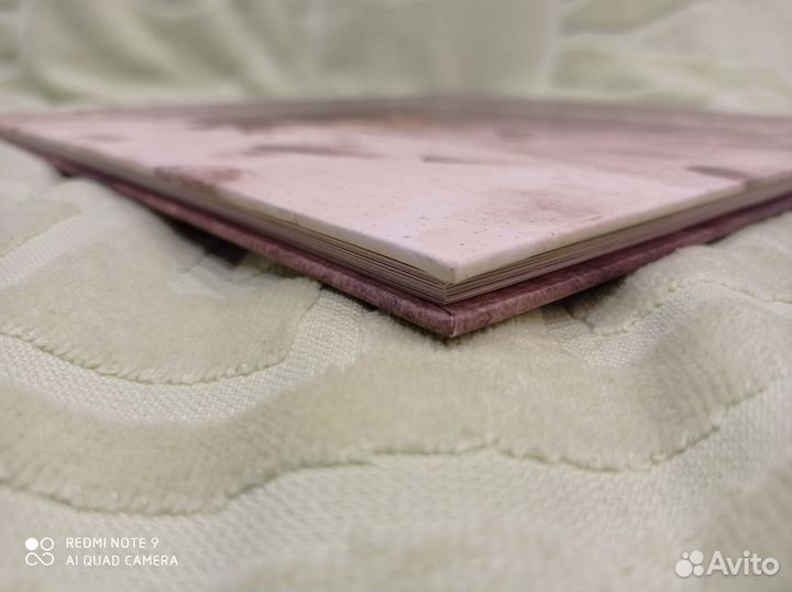 Каштанка, илл. Демидовой