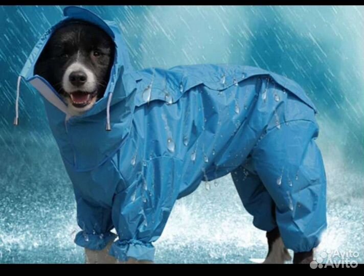 Дождевик для маленькой собаки