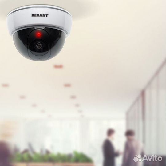 Муляж камеры