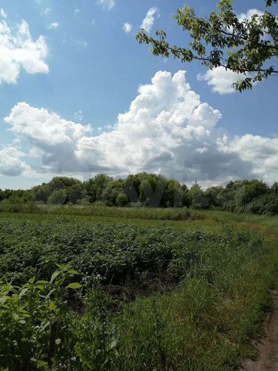 Участок 25 сот. (ИЖС)