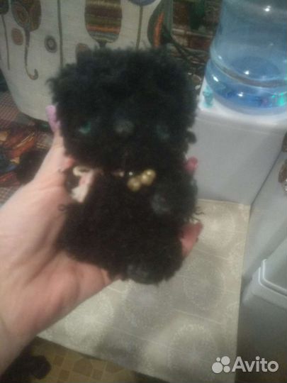 Котик Тедди коллекционный ручная работа