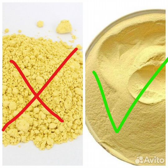 Пыльца сосны