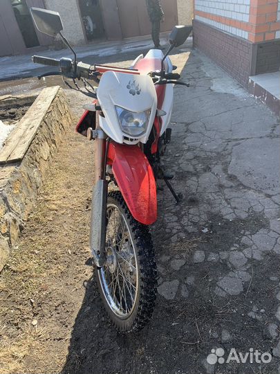 Irbis TTR 250