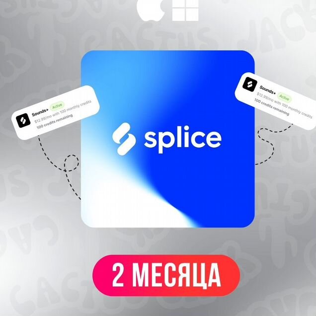 Splice Sounds+ подписка 200 кредитов на 2 месяца