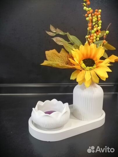 Набор из гипса