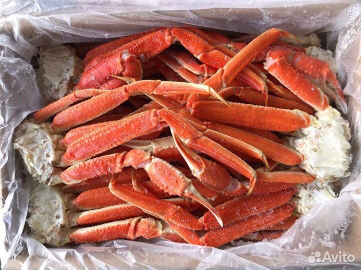 Краб Стригун средний (коробка 4 кг)