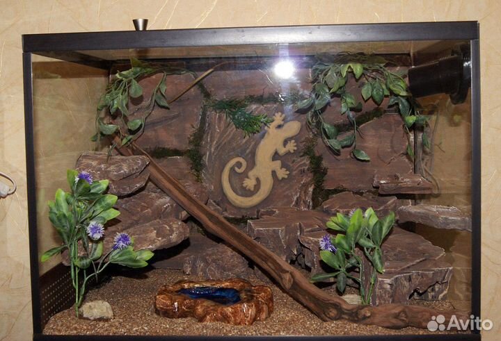 Террариум для эублефара