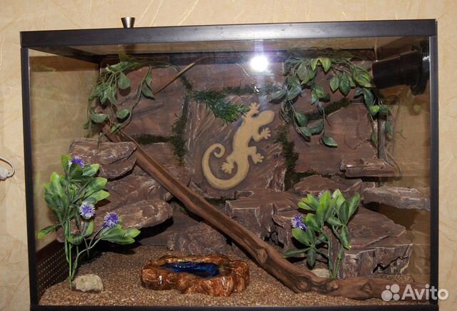 Террариум для эублефара