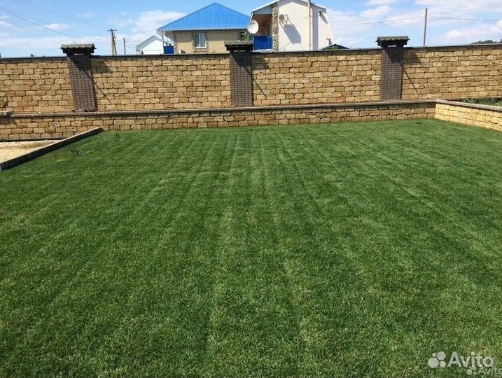 Рулонный газон/продажа