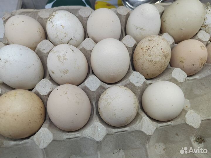 Для дома и дачи