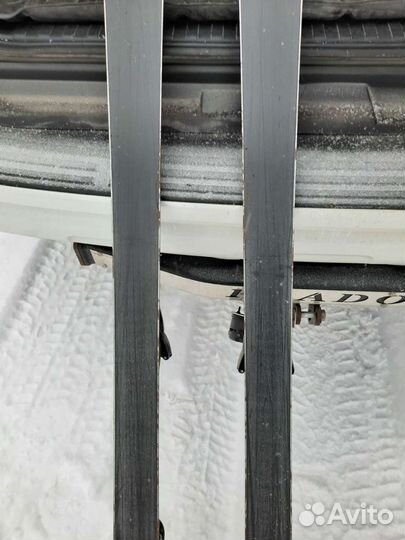 Горные лыжи