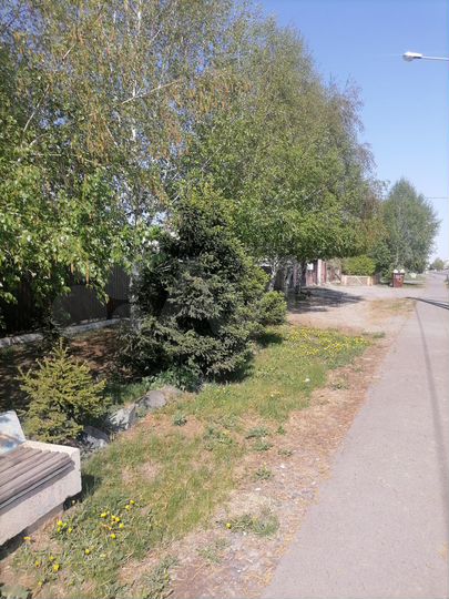 Дом 279,8 м² на участке 11 сот.