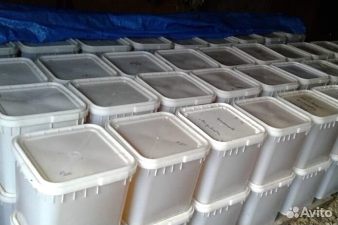 Мед натуральный с Алтая опт от 16 кг