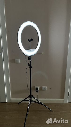 Светодиодный кольцевой осветитель Raylab