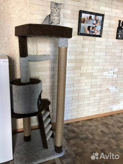 Комплекс для кошки