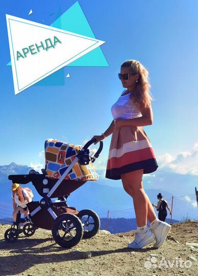 Аренда коляска bogaboo cameleon