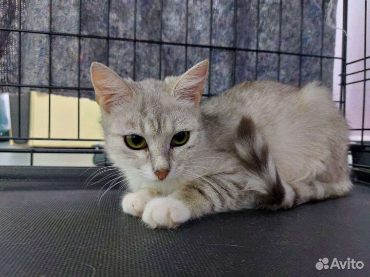 Самая милая девочка В самые добрые ручки