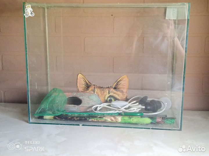 Аквариумные рыбки