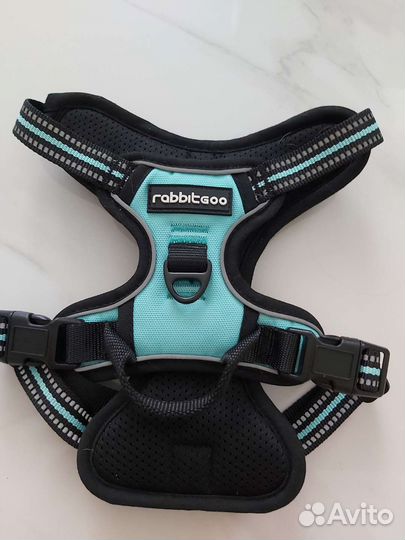 Шлейка для маленькой собаки