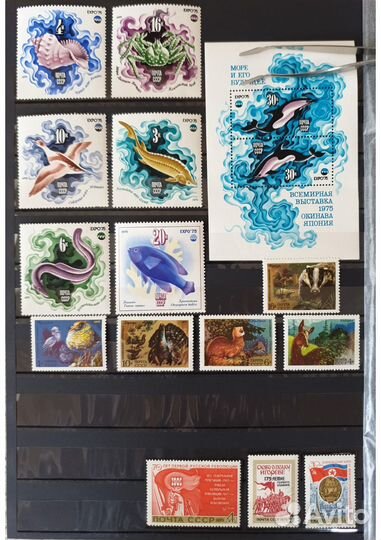 1975 полный годовой набор почтовых марок СССР
