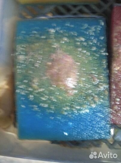 Корм для рыб