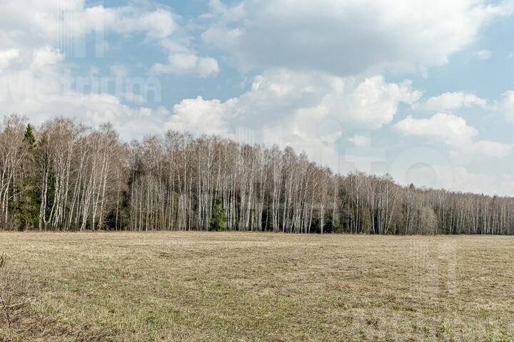 Участок 16,5 сот. (ИЖС)