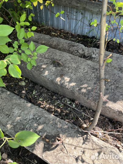 Бетонные столбы