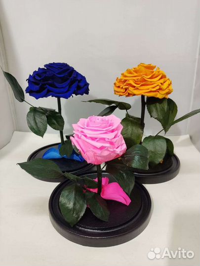 Роза в колбе