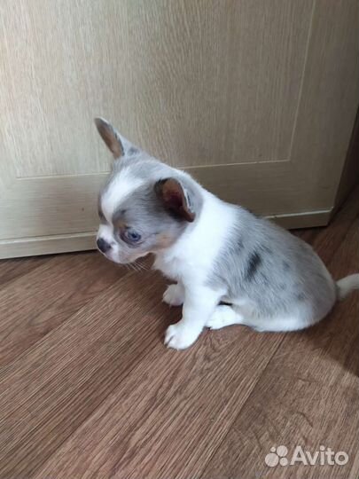 Космический мальчик