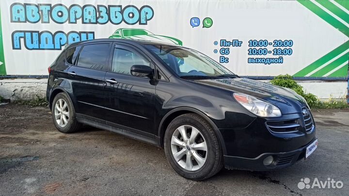 Петли двери задней правой Subaru Tribeca