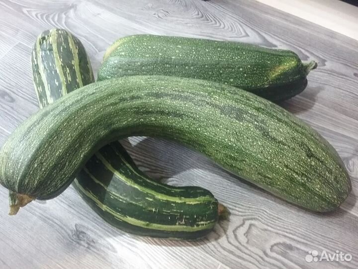 Кабачки домашние