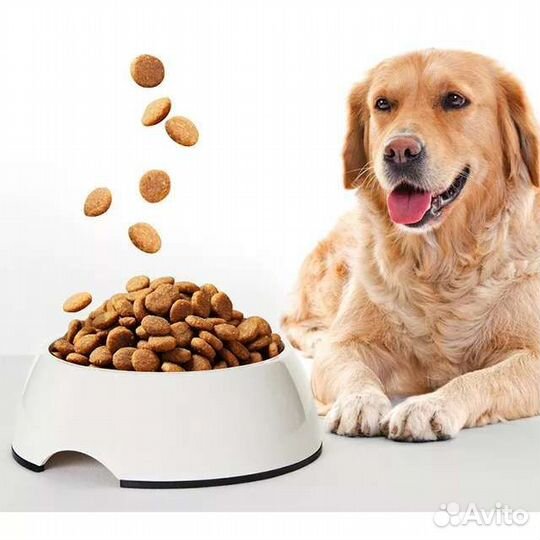 Сухой корм для собак Royal Canin Professional 20кг