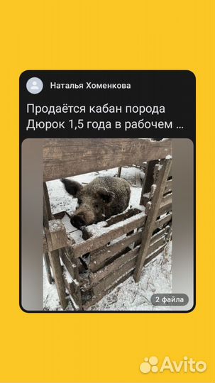 Клубная карта