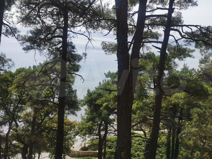 Участок 1,63 га (ИЖС)