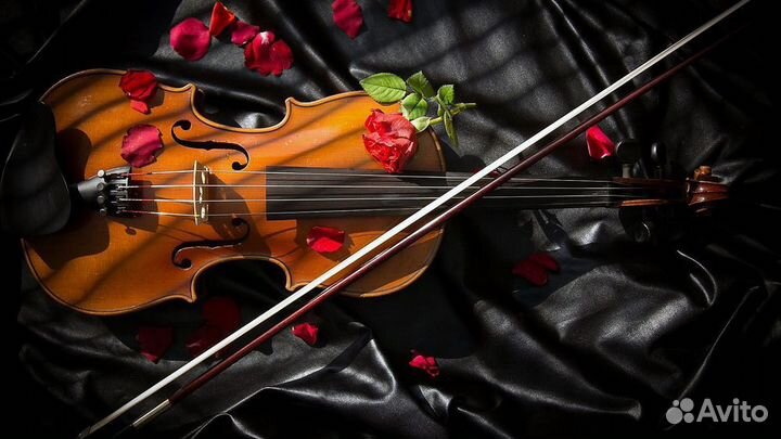 Репетитор по скрипке и сольфеджио