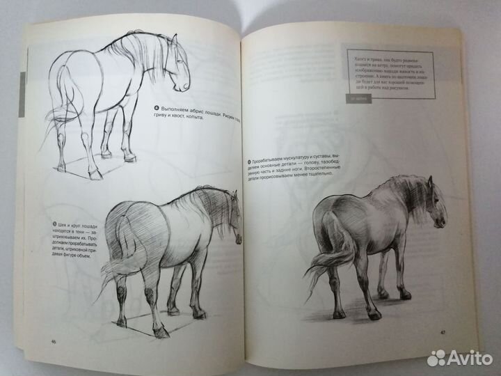 Самоучитель по рисованию