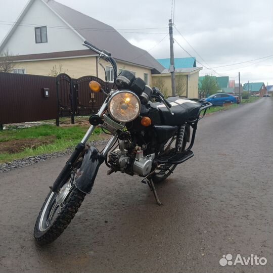 Alpha Bandit 110cc