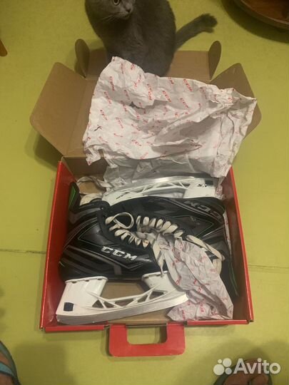 Коньки хоккейные ссм