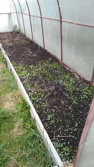 Дом 70 м² на участке 12 сот.