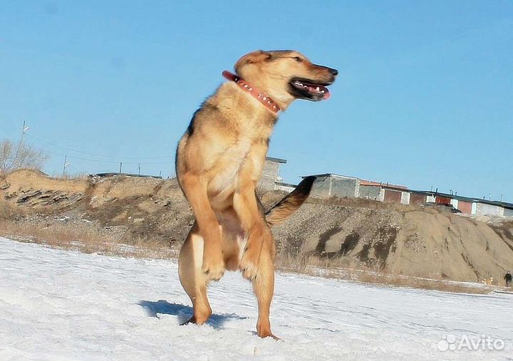 Токай