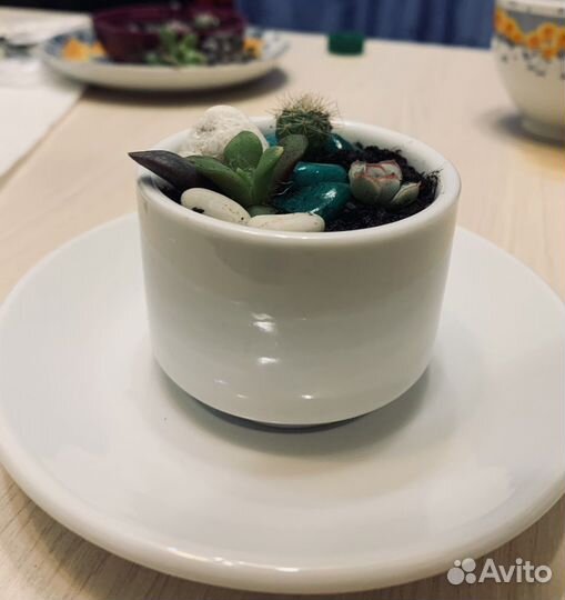 Мини Флорариум в чашке